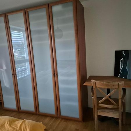 Zimmer In Penthouse-Wohnung Windisch Room photo