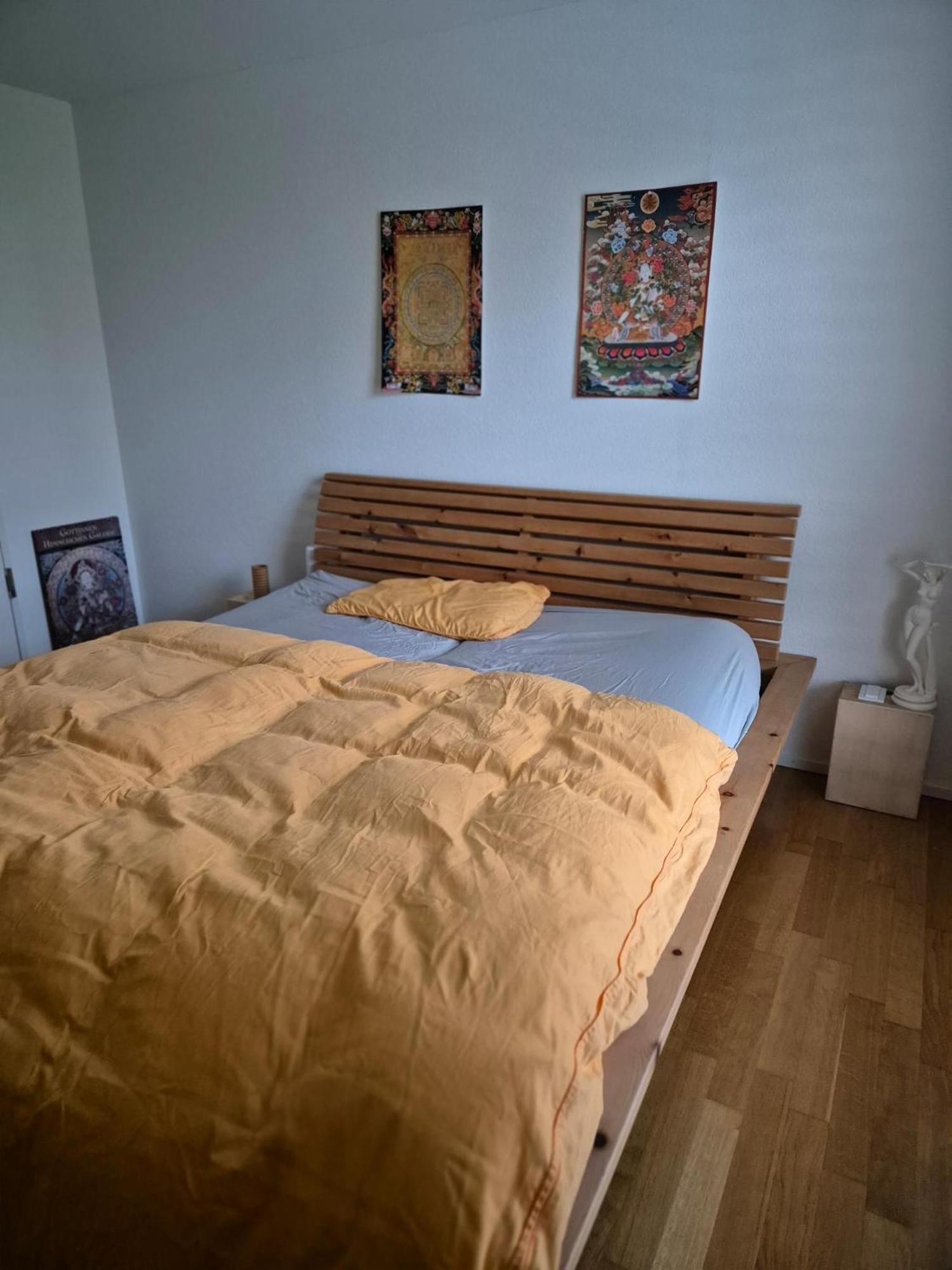 Zimmer In Penthouse-Wohnung Windisch Room photo