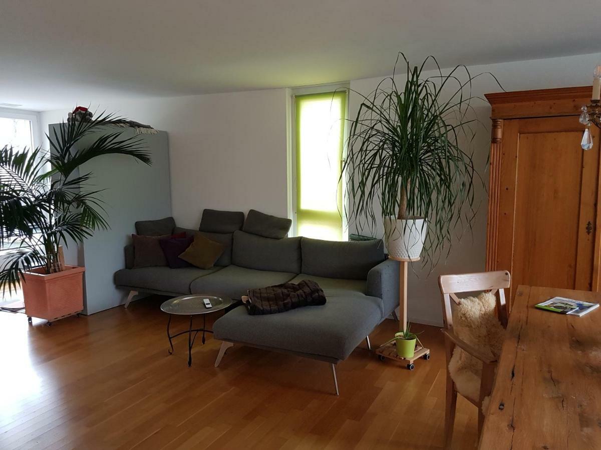 Zimmer In Penthouse-Wohnung Windisch Exterior photo
