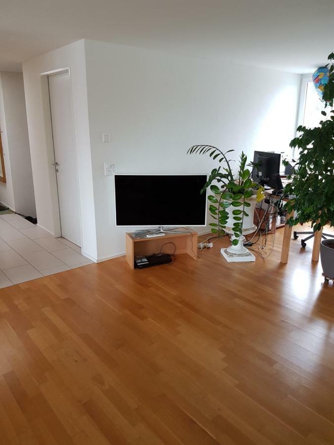 Zimmer In Penthouse-Wohnung Windisch Exterior photo